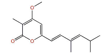 Cyercene 3